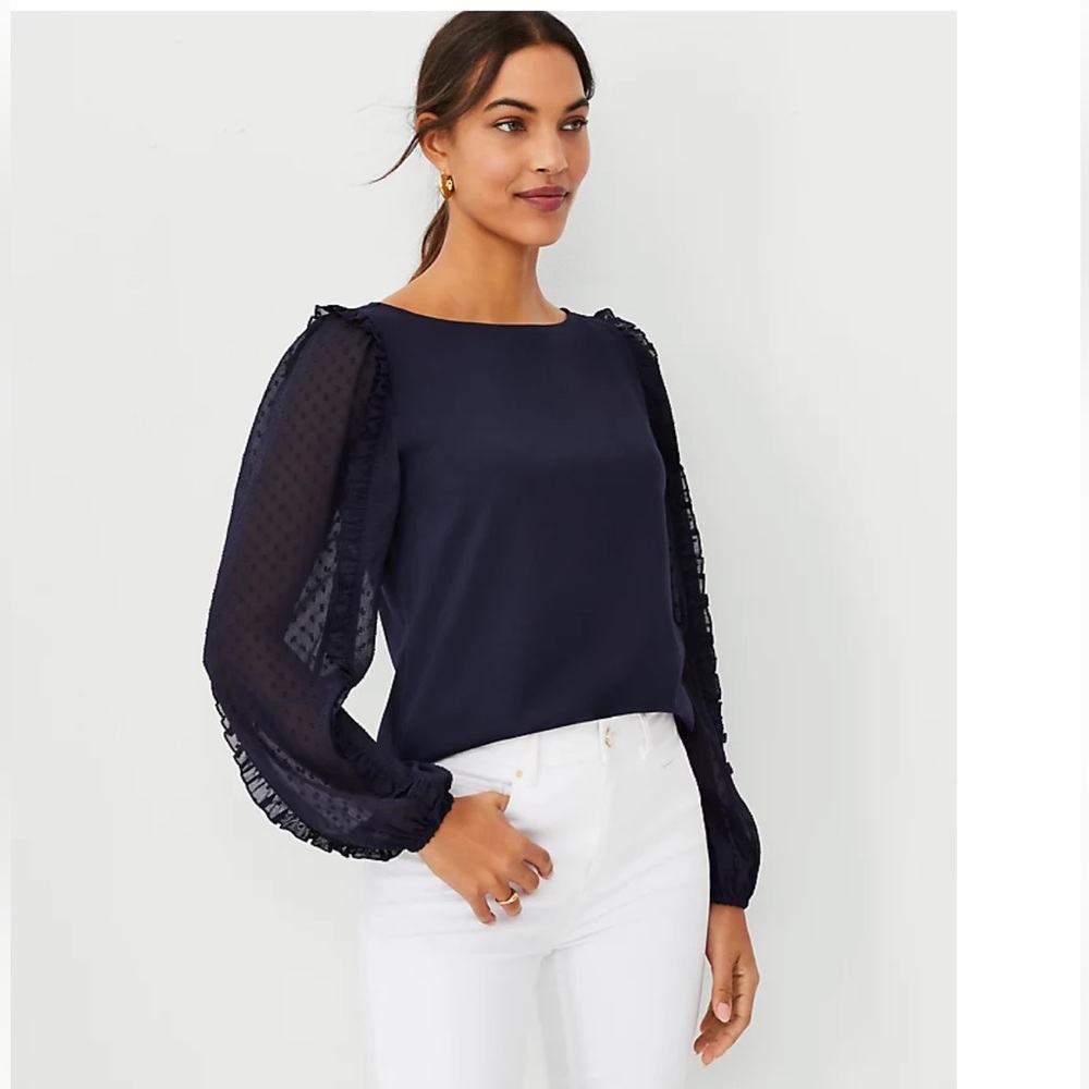 Brand New Ann Taylor Clip Sleeve Mixed Media Top